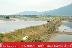 Thị xã Kỳ Anh khởi động vụ nuôi, thả 85 triệu tôm giống