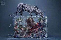 Angelababy hóa nữ thần băng đẹp tuyệt!