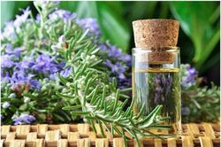 Sự thật về loài cây 'sờ là thơm' giúp cải thiện trí nhớ