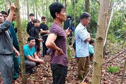 Phát hiện thi thể người đàn ông chết trong tư thế treo cổ ở vườn keo