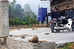 Tăng cường tuần tra, xử lý vi phạm về trật tự ATGT
