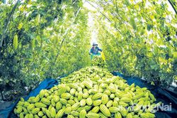 Đồng Nai sẵn sàng cho ''hậu nông thôn mới''