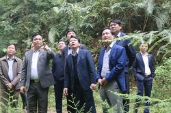 Kiểm tra việc triển khai chính sách hỗ trợ, khuyến khích phát triển nông nghiệp tại huyện Tân Sơn