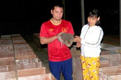 Kim Bình nỗ lực hướng tới chuẩn nông thôn mới kiểu mẫu