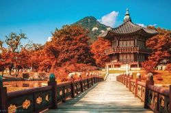 Tour du lịch Hàn Quốc đồng loạt bị hủy, doanh nghiệp thiệt hại hàng chục tỷ đồng