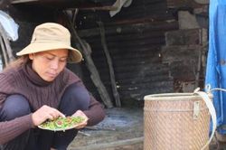 Tây Nguyên: Nơi ớt không chỉ là gia vị