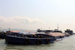 Cảnh sát biển tạm giữ 4 tàu chở gần 6.000 tấn than không giấy tờ