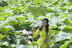 Thúy Hà - Bà Phó bí thư trong 'Sinh tử' và tình yêu với ẩm thực Hà Nội
