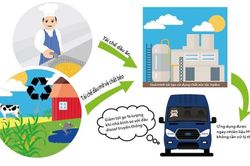 Xe Ford Transit sẽ sử dụng nhiên liệu từ dầu ăn đã qua sử dụng