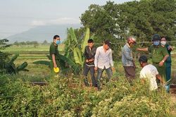 Tai nạn đường sắt khiến 1 người tử vong