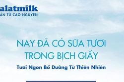 Dalatmilk ra mắt sữa tươi tiệt trùng trong bịch giấy hoàn toàn tự nhiên
