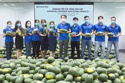 Ngân hàng Shinhan giải cứu 'dưa hấu' cho nông dân