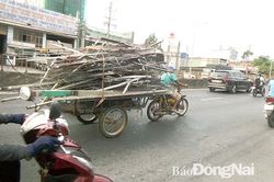 Kiểu chở hàng nguy hiểm