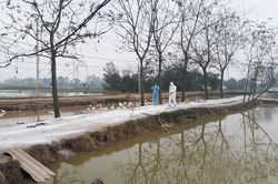 Không để dịch chồng dịch