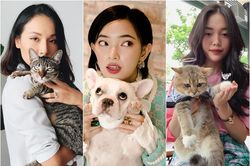 Nổi tiếng ầm ầm Youtuber, hot girl, streamer Việt vẫn không thoát kiếp 'con sen'