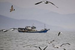 Nga thả 4 ngư dân Ukraine bị bắt ở biển Azov