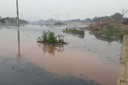 Bắc Giang, Bắc Ninh bàn cách xử lý vụ sông Cầu đang 'giãy chết'