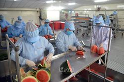 Bún dưa hấu, bánh tráng thanh long 'giải cứu nông sản'