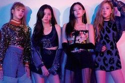 BlackPink trở thành nhóm nhạc nữ Kpop có doanh thu tour diễn cao nhất mọi thời đại