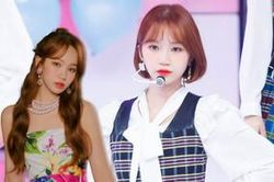 Thành viên IZ*ONE bất ngờ leo top trending nhờ loạt fancam, được Netizen gọi là 'viên ngọc ẩn giấu'