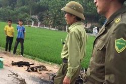 Người dân vây đánh thương vong 2 thanh niên nghi trộm chó