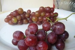 Nho Ninh Thuận vào mùa giá chỉ 30k/kg, nhìn 'trúng' điểm này để biết nho xịn?