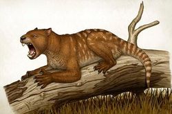 Phát hiện hóa thạch loài sư tử có túi chưa từng biết đến 23 triệu năm