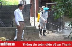 Huyện Tĩnh Gia triển khai các biện pháp cấp bách chống dịch cúm A/H5N6