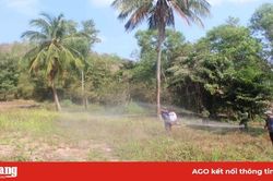 Tập trung phòng, chống cháy rừng mùa khô