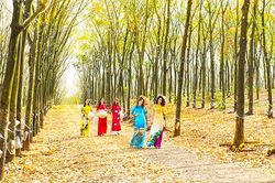 Miền quê đáng sống