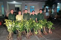 Ban liên lạc cựu chiến binh Trung đoàn 6 tặng 3.500 cây giống cho tỉnh Quảng Trị