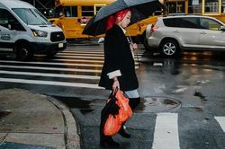 Thành phố New York Mỹ cấm sử dụng túi nilon
