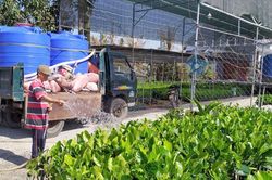 Cuộc sống đảo lộn với hạn, mặn