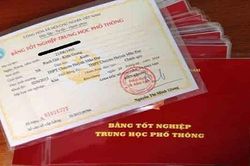 Đắk Lắk: Cách chức Hiệu trưởng trường mầm non sử dụng bằng giả