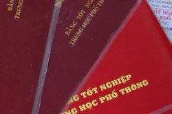 Đắk Lắk: Cách chức, buộc thôi việc Hiệu trưởng trường mầm non sử dụng bằng giả