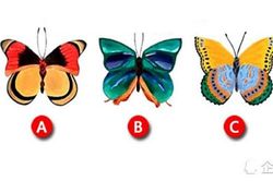 Trắc Nghiệm: Nhiệm vụ tối mật của bạn khi đến Trái đất này là gì?