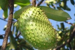 Thích ứng thị trường từ chuỗi giá trị hàng hóa