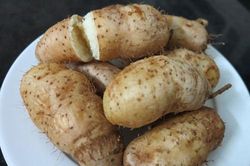 Loại củ 'xấu mã' nhưng là thực phẩm vàng của mùa lạnh, càng ăn càng đốt mỡ bụng