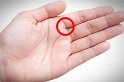 Nhìn vào kẽ hở trên bàn tay, biết ngay vận mệnh của một người, nghèo khó hay phát tài đều hiện rõ