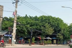 TPHCM: Nghịch lý mua được tài sản bán đấu giá nhưng không thể quản lý, sử dụng