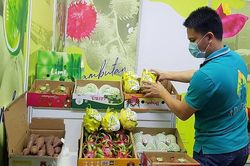 Doanh nghiệp tổ chức triển lãm thiệt hại nặng vì dịch Covid-19