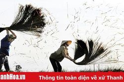 Cảm nhận cuộc thi ảnh nghệ thuật 'Nét đẹp lao động trong thời kỳ đổi mới' trên Tạp chí Văn nghệ Xứ Thanh