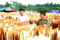Thu nhập cao từ chế biến lâm sản
