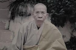 Hải Phòng : NT.Thích Đàm Nhã viên tịch ở tuổi 93