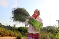 Săn 'lộc rừng' trên thảo nguyên M'đrắk