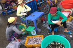 Tăng ngưỡng chịu thuế thu nhập cá nhân lên 11 triệu đồng: Vẫn lỗi thời