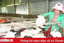 Toàn tỉnh có khoảng 1.000 hộ dân được cấp phép nuôi con đặc sản