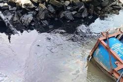Hà Tĩnh: Dầu loang đen ngòm dọc bờ sông Lam