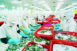 Xuất khẩu hải sản Việt Nam sang EU giảm sút vì 'thẻ vàng'