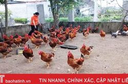 Có 'cần câu', hàng ngàn phụ nữ Lộc Hà tự tin khởi nghiệp